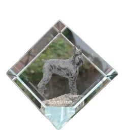 sznaucer-schnauzer-krysztalowa-kostka-ze-zdjeciem-zdjecie-konia-w-krysz