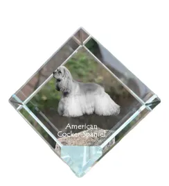 cocker-spaniel-amerykanski-krysztalowa-kostka-ze-zdjeciem-zdjecie-konia