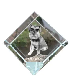 sznaucer-schnauzer-i-krysztalowa-kostka-ze-zdjeciem-zdjecie-konia-w-kry