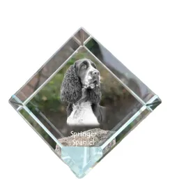 springer-spaniel-angielski-krysztalowa-kostka-ze-zdjeciem-zdjecie-konia