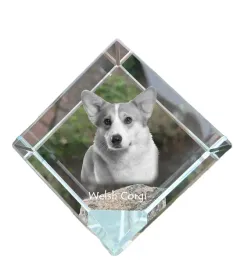 pembroke-welsh-corgi-krysztalowa-kostka-ze-zdjeciem-zdjecie-konia-w-krys