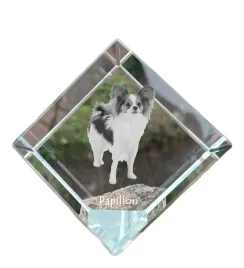 papillon-spaniel-kontynentalny-krysztalowa-kostka-ze-zdjeciem-zdjecie-k