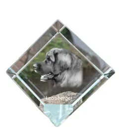 leonberger-krysztalowa-kostka-ze-zdjeciem-zdjecie-konia-w-krysztale-sze