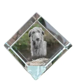 chart-szkocki-deerhound-krysztalowa-kostka-ze-zdjeciem-zdjecie-konia-w