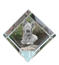 skye-terrier-krysztalowa-kostka-ze-zdjeciem-zdjecie-konia-w-krysztale-s