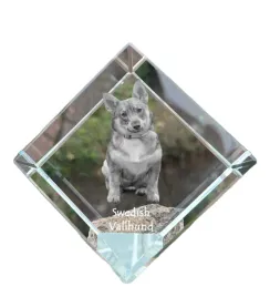 szwedzki-vallhund-szwedzki-szpic-owczarski-krysztalowa-kostka-ze-zdjecie