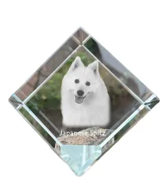 szpic-japonski-krysztalowa-kostka-ze-zdjeciem-zdjecie-konia-w-krysztale