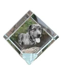 catahoula-leopard-dog-krysztalowa-kostka-ze-zdjeciem-zdjecie-konia-w-kry