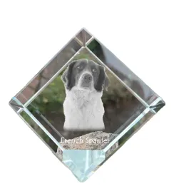 spaniel-francuski-french-spaniel-krysztalowa-kostka-ze-zdjeciem-zdjecie