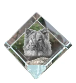 eurasier-eurasian-krysztalowa-kostka-ze-zdjeciem-zdjecie-konia-w-kryszt