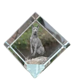 thai-ridgeback-krysztalowa-kostka-ze-zdjeciem-zdjecie-konia-w-krysztale
