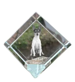 amerykanski-toy-terrier-toy-foksterier-krysztalowa-kostka-ze-zdjeciem-z