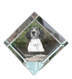 treeing-walker-coonhound-krysztalowa-kostka-ze-zdjeciem-zdjecie-konia-w