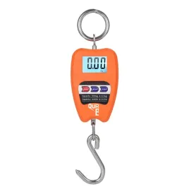 waga-hakowa-qsky-2000-kg-z-podswietleniem-lcd
