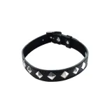 adjustable-collar