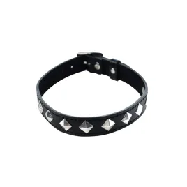adjustable-collar