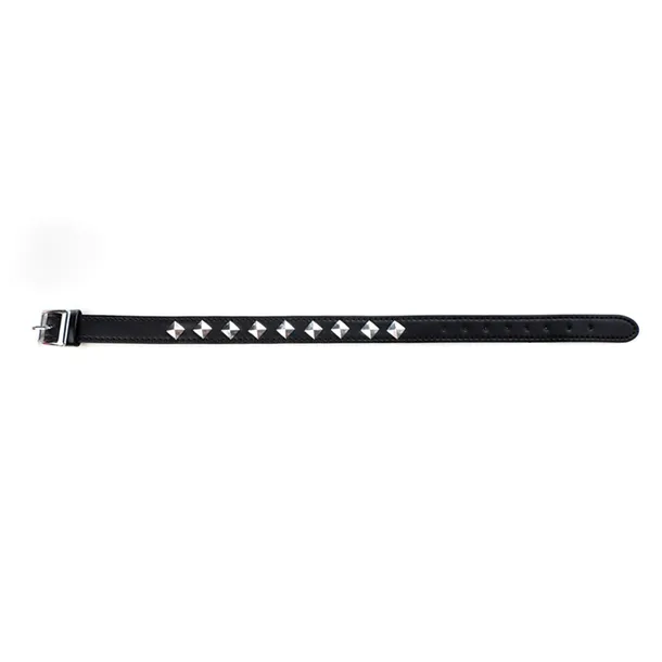 adjustable-collar-stan-opakowania-oryginalne