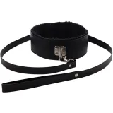 collar-with-detachable-leash