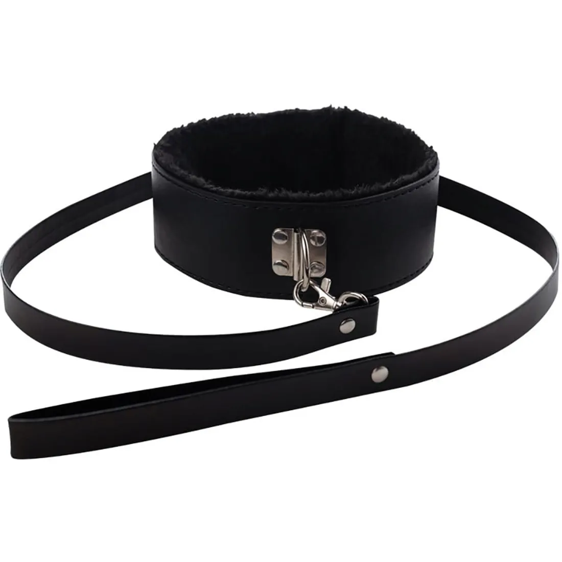 collar-with-detachable-leash-stan-nowy
