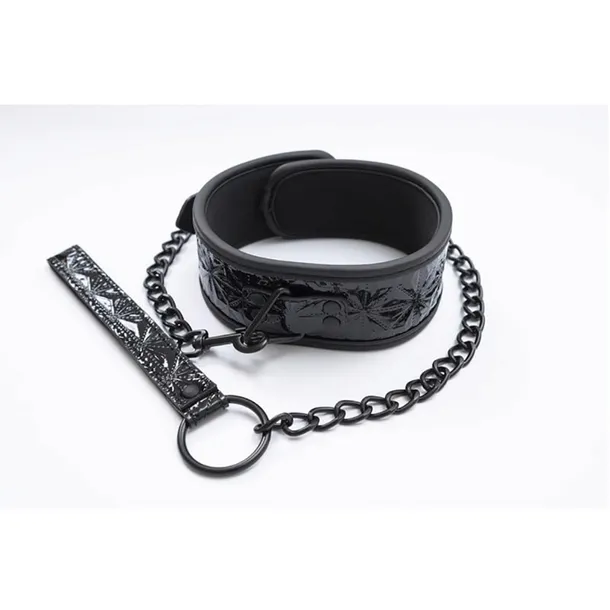 collar-with-detachable-leash-stan-opakowania-oryginalne