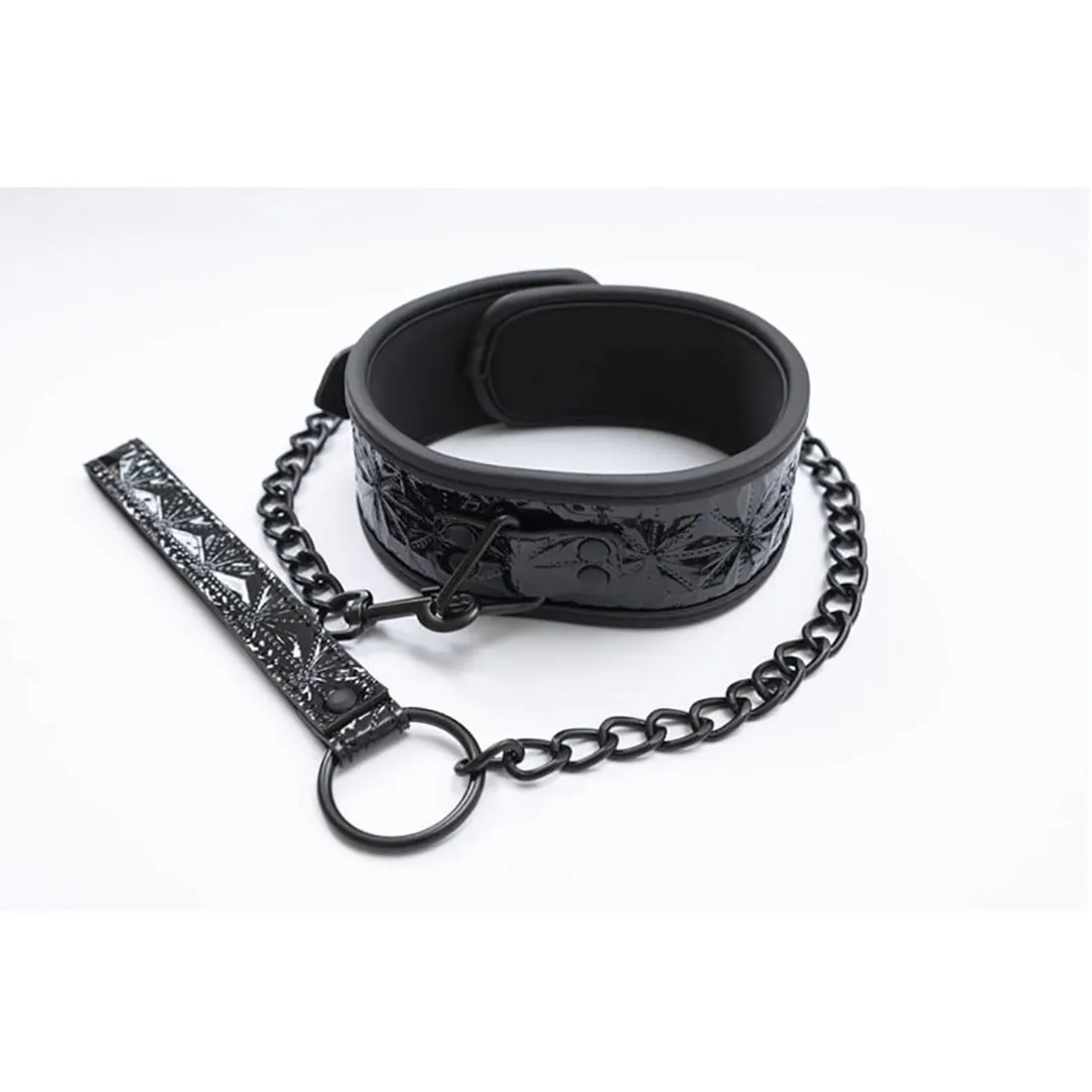 collar-with-detachable-leash-stan-nowy