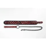 collar-with-detachable-leash-stan-opakowania-oryginalne