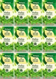 x12-herbapol-zielnik-melisa-20x2g