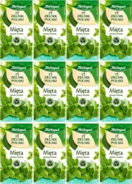 x12-herbapol-zielnik-mieta-20x2g
