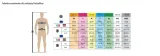 bluza-robocza-m1ves-delta-plus-bb-w-3xl-stan-nowy