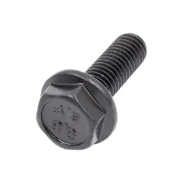 sruba-pierscienia-felgi-can-am-m8x25-do-beadlocka-250000893