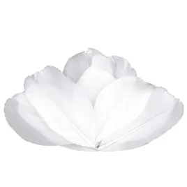 piorka-dekoracyjne-gesie-bialy-stoklasa-55-7-cm-10-szt