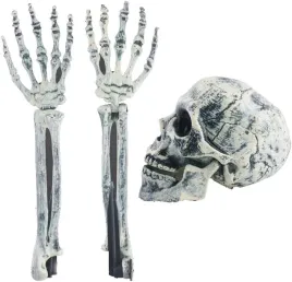 sztuczna-czaszka-rece-wystajace-z-ziemi-halloween