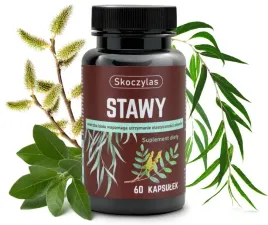 stawy-kadzidlowiec-wierzba-ashwagandha-sosna-skoczylas-5903631208829-5