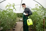 marolex-opryskiwacz-hobby-9-l-stan-nowy