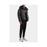 6dpb19pngaz1200-rozmiar-xxl-kod-producenta-6dpb19pngaz1200