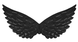 skrzydla-partypal-44x22-cm-czarne