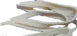 knot-do-lamp-naftowych-tasma-stan-nowy