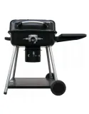 grill-mir-417