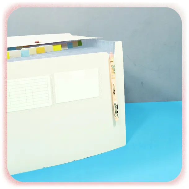 teczka-z-gumka-a4-pixel-waga-z-opakowaniem-0-22-kg-typ-z-gumka
