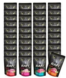 dolina-noteci-rafi-cat-40x100g-mix-smakow-saszetki