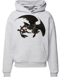 bluza-z-kapturem-jak-wytresowac-smoka-dragon-producent