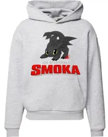 bluza-z-kapturem-jak-wytresowac-smoka-dragon-producent