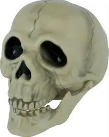 sztuczna-czaszka-z-ruchoma-szczeka-czacha-13-cm-dekoracja-halloween