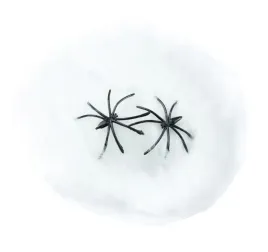 pajeczyna-biala-swiecaca-w-ciemnosci-z-pajakiem-pajakami-czarne-halloween