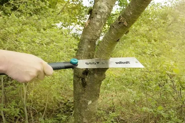 pila-japonska-240mm-przeznaczenie-do-drewna-marka-wolfcraft
