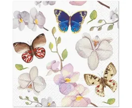 serwetki-papierowe-33-x-33-cm-storczyk-motylki-motyle-wiosna-wiosenne-motyl