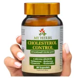 cholesterol-control-ostropest-berberyna-80-kaps-wsparcie-serca