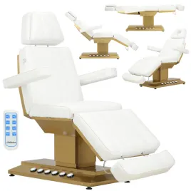 fotel-kosmetyczny-elektryczny-do-salonu-kosmetycznego-pedicure-3-silowniki