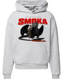 bluza-z-kapturem-jak-wytresowac-smoka-dragon-producent