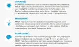 arion-fresh-junior-12kg-arion-karmy-specjalne-dla-psow-aktywnych